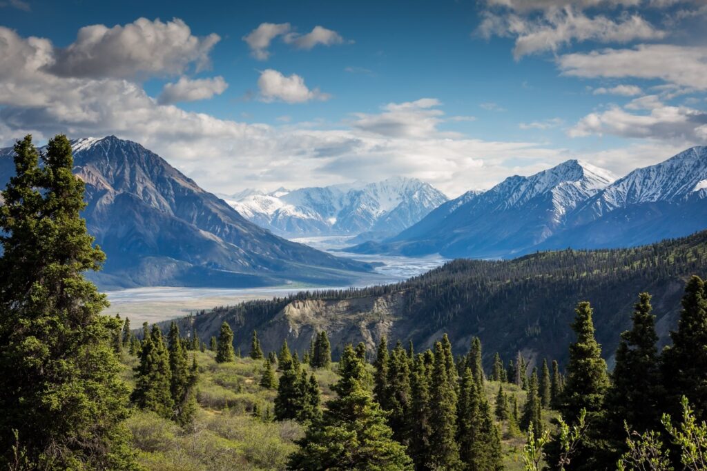 Featured Image 1 1024x683
