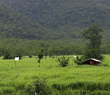 land1